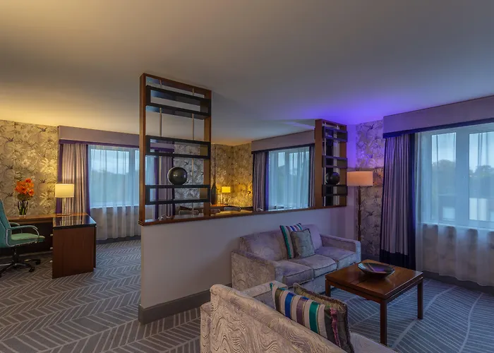 One-Bedroom King Suite